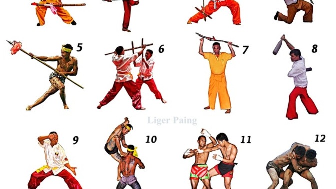 What's your favorite Burmese martial art?