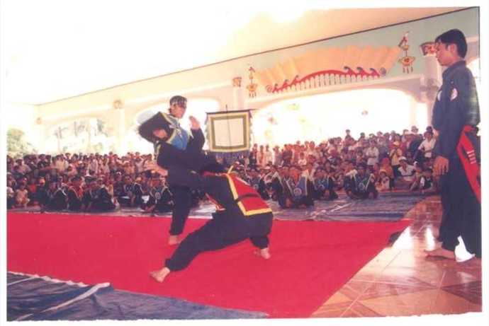 Whats your favorite Vietnamese martial art?