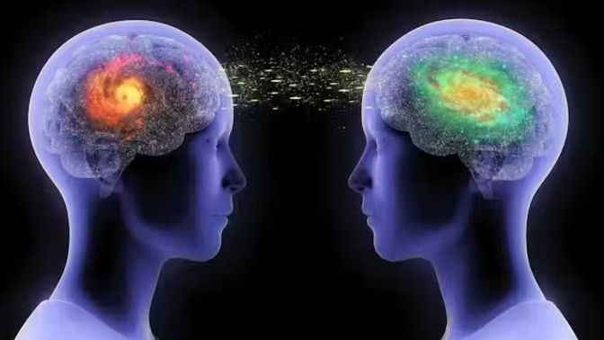 Would you rather have the ability to accurately predict all of your partners decisions or remove one of their memories every month?