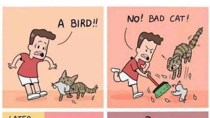 To cat owners has your cat ever brought you a mouse or a bird before?
