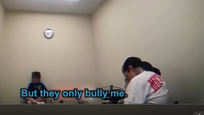 Is bullying bad?