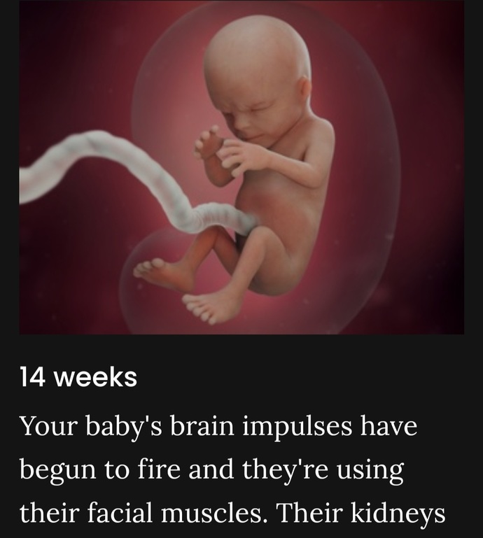 Should laws deter abortion when the brain starts functioning?