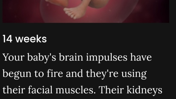 Should laws deter abortion when the brain starts functioning?
