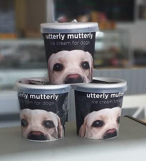 Is it for humans or dogs?