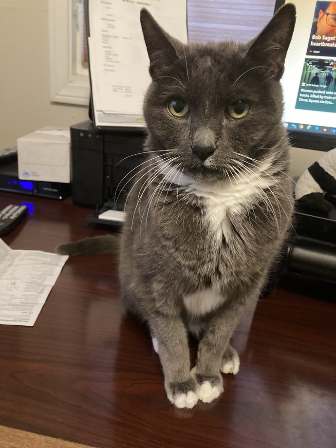 This i OLIVER, he was a rescue baby, and I got him at 8 weeks and he died at just under 18 years