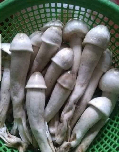 Do you know what is this?