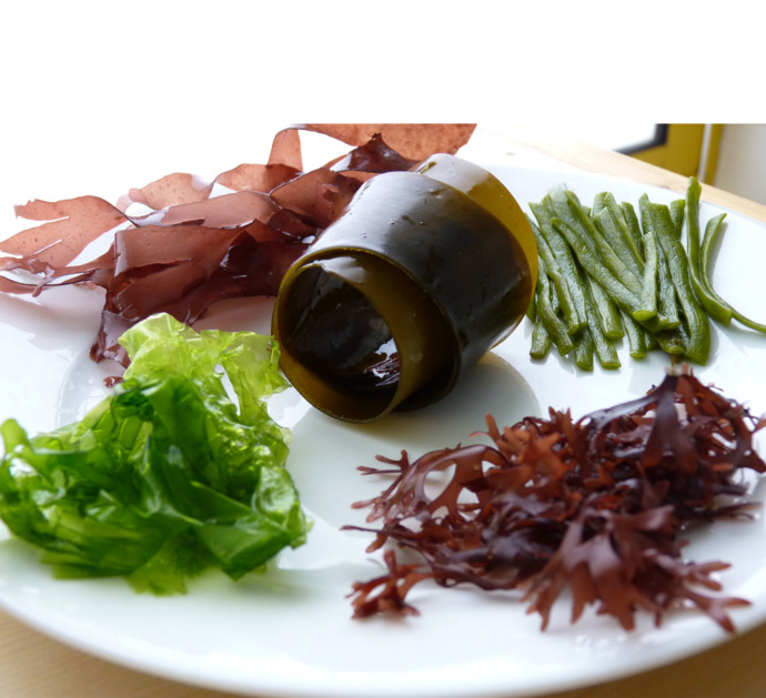 Whats your favorite vegetarian food?