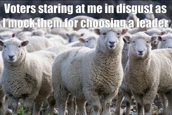 Are you voting for Trump?