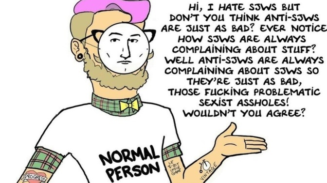 How do you feel about sjws who pretend to be normal to make normal people look bad?