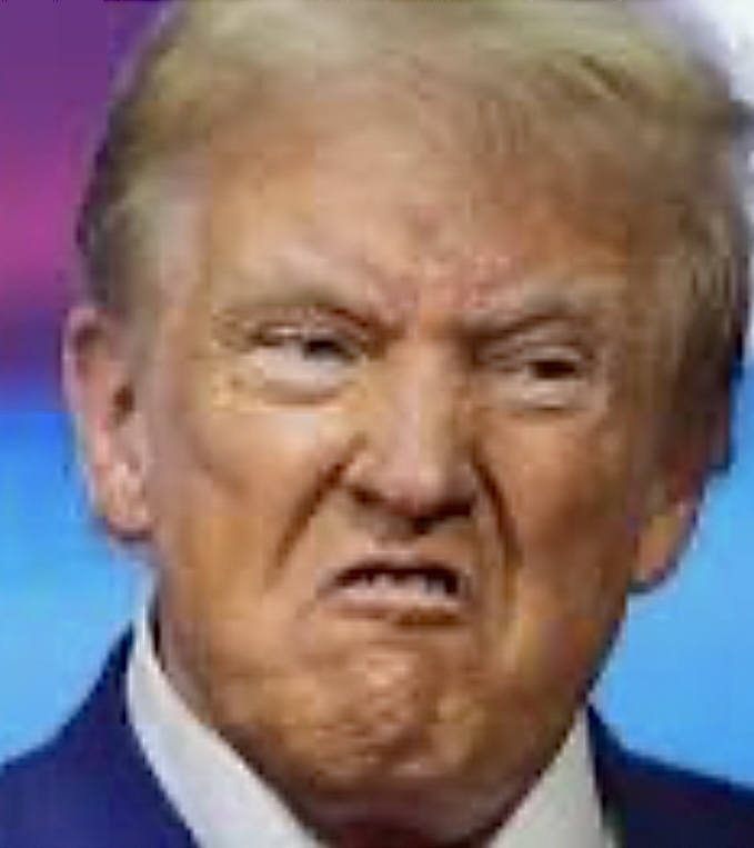So all you MAGA republicans on here…is your Cheeto completely unhinged or just losing mental acuity?