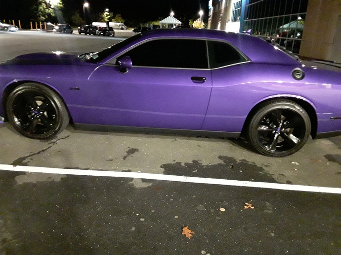 What do you think of my purple beauty?