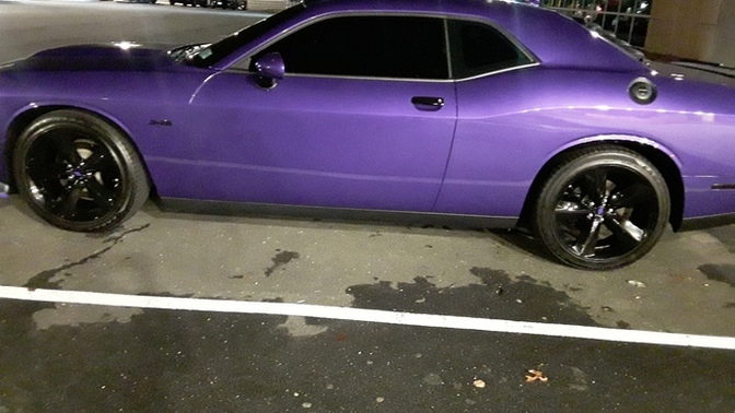 What do you think of my purple beauty?