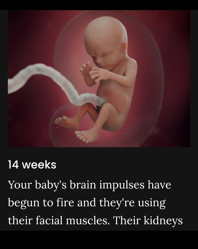 If you are for abortion access, how exactly would you defend abortion in a debate?
