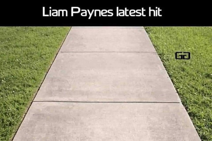 One Direction star Liam Payne has died at 31. What are your thoughts? Were you a fan?