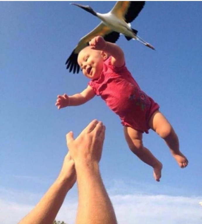 If you had to tell a child how babies are born what would you say?