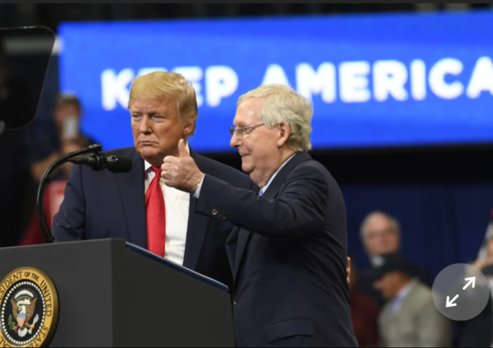 Who agrees with Mitch McConnell that Trump is a despicable human being, a narcissist, and stupid?