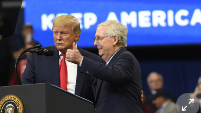 Who agrees with Mitch McConnell that Trump is a "despicable human being," a "narcissist," and "stupid"?