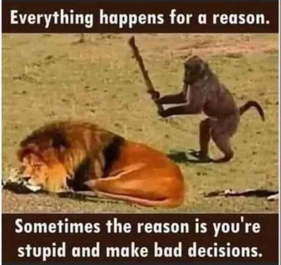Can you share your favorite memes?