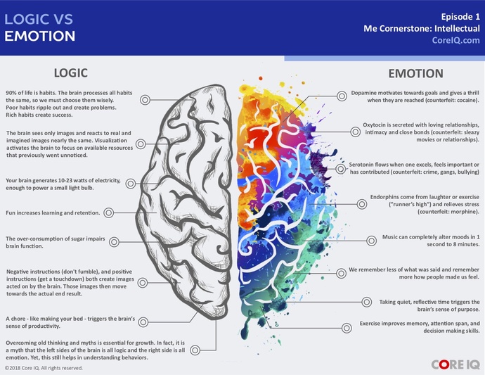 Do you based your decisions on logic or emotions? Why?