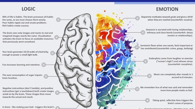 Do you based your decisions on logic or emotions? Why?