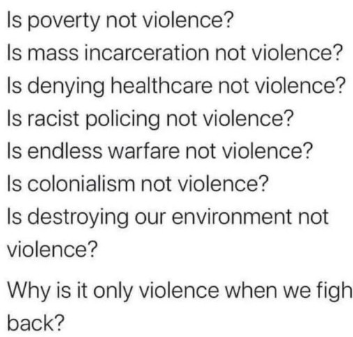 What are the primary issues facing Africans and African Americans in the USA that you'd like to see addressed?
