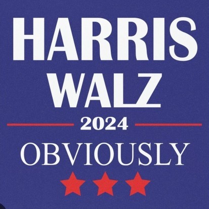 US elections: who are you voting for?