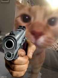Have you grabbed your pet like a gun?