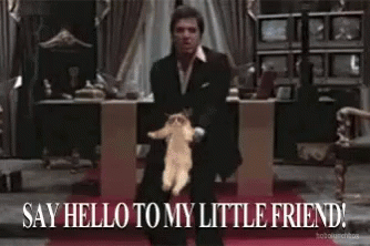 Have you grabbed your pet like a gun?