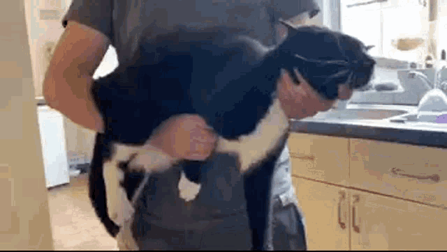 Have you grabbed your pet like a gun?