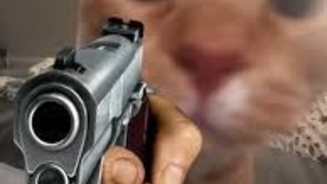 Have you grabbed your pet like a gun?