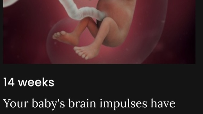 About election which is more important? Lower inflation as trump did? Or killing a fetus EVEN after its brain functions in 14th week?