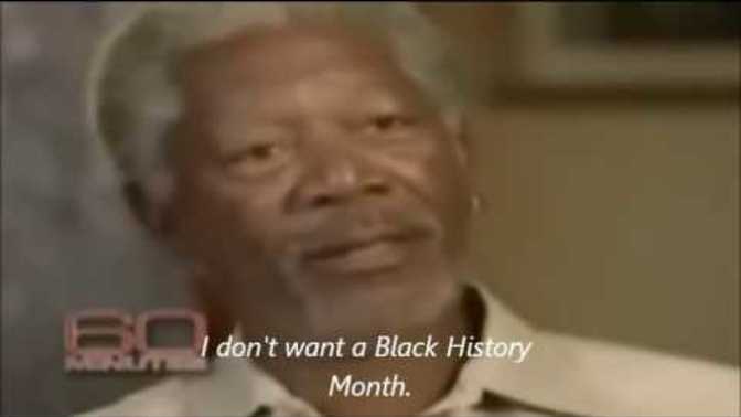 Do you agree with Morgan Freeman on race?