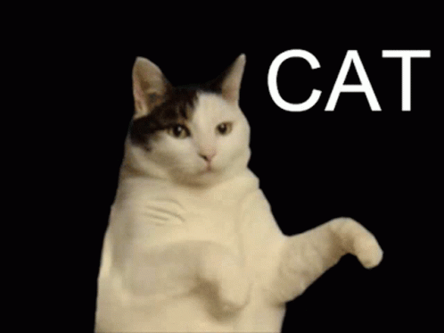 If YOU were a cat which of these typical cat behaviors would you do most?