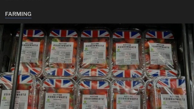 What's your opinion on national/state flags on food?