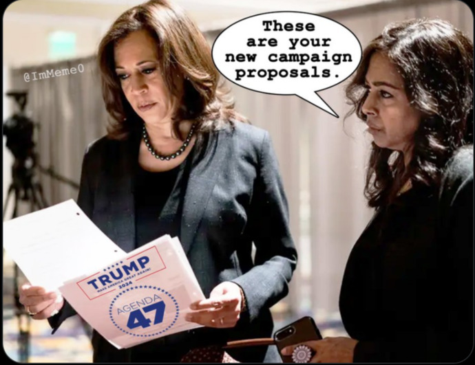 Why does Kamala Harris keep saying what shes going to do on day one when day one for her was 1,400 days ago and she hasnt done a damn thing?