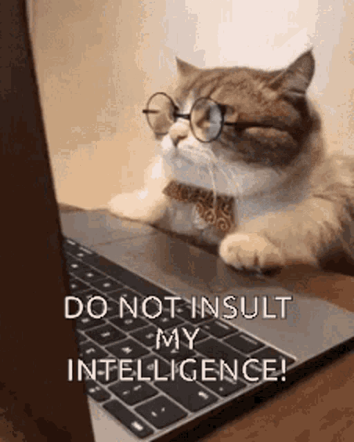 Are cats better secret keepers than dogs?