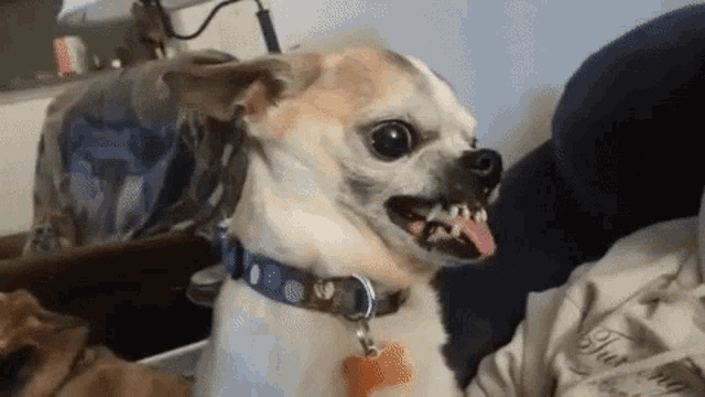 Do people in relationships do the no nut November thing?