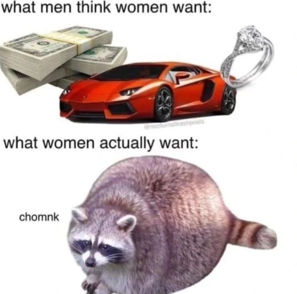 What do women want from a man?