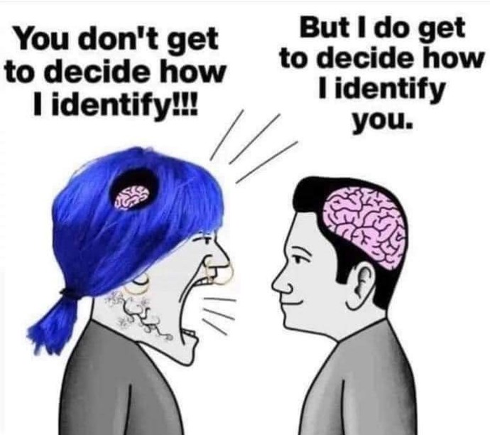 What do you think about this gender identity opinion?