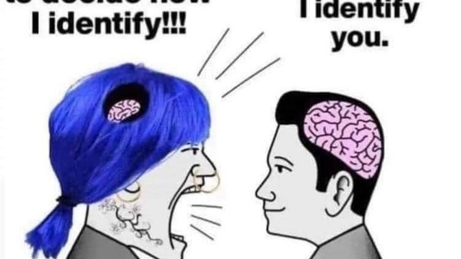 What do you think about this gender identity opinion?