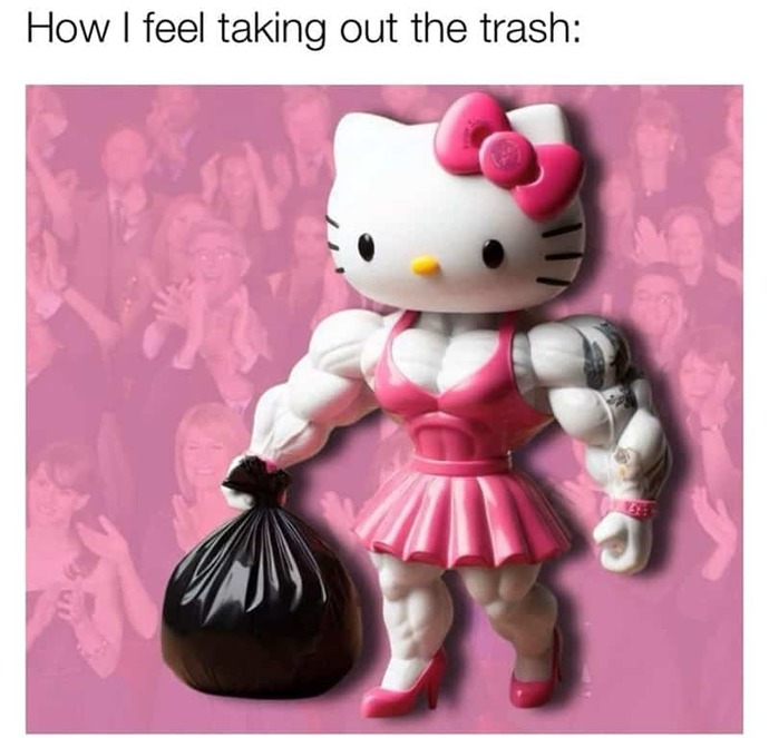 Are Hello Kitty Girls actually sane people?