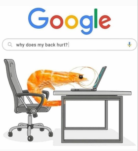 What do you miss right now?
