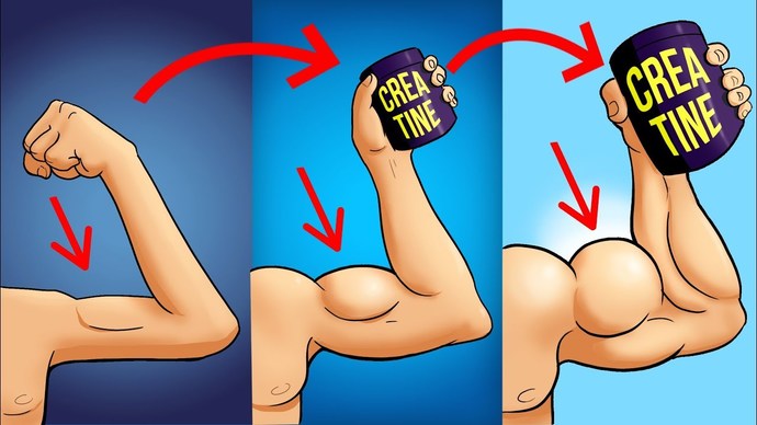 Does creatine build muscle mass?