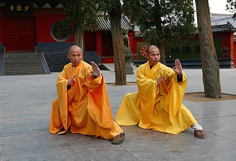 Whats your favorite hard style Kung Fu?