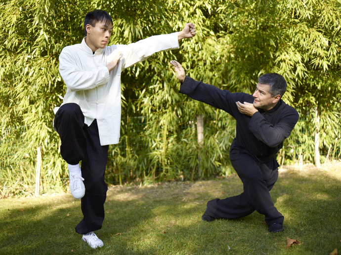 Whats your favorite hard style Kung Fu?