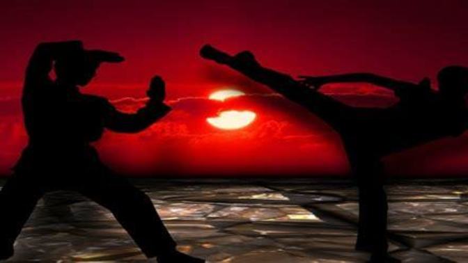 What's your favorite hard style Kung Fu?