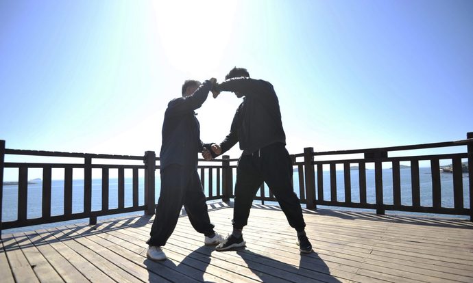 Whats your favorite soft style Kung Fu?
