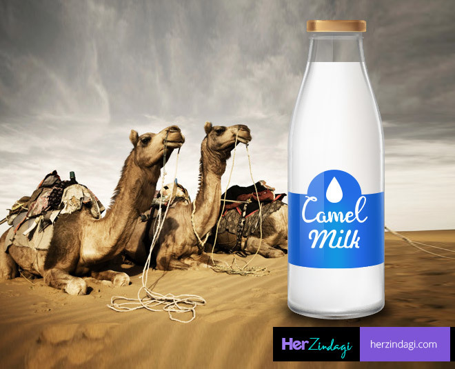 Whats your favorite sort of milk?