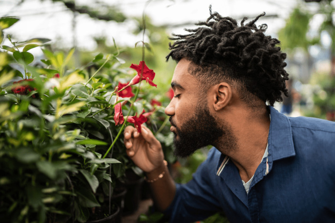 What scent reminds you of your partner or past partners?