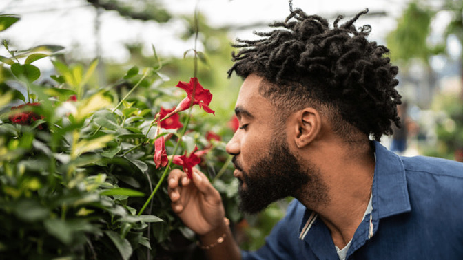 What scent reminds you of your partner or past partners?
